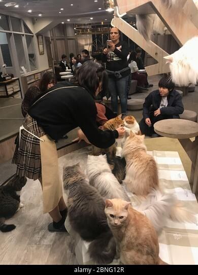 Latest company case about Specific Customer Feedback (Anonymous Compilation)