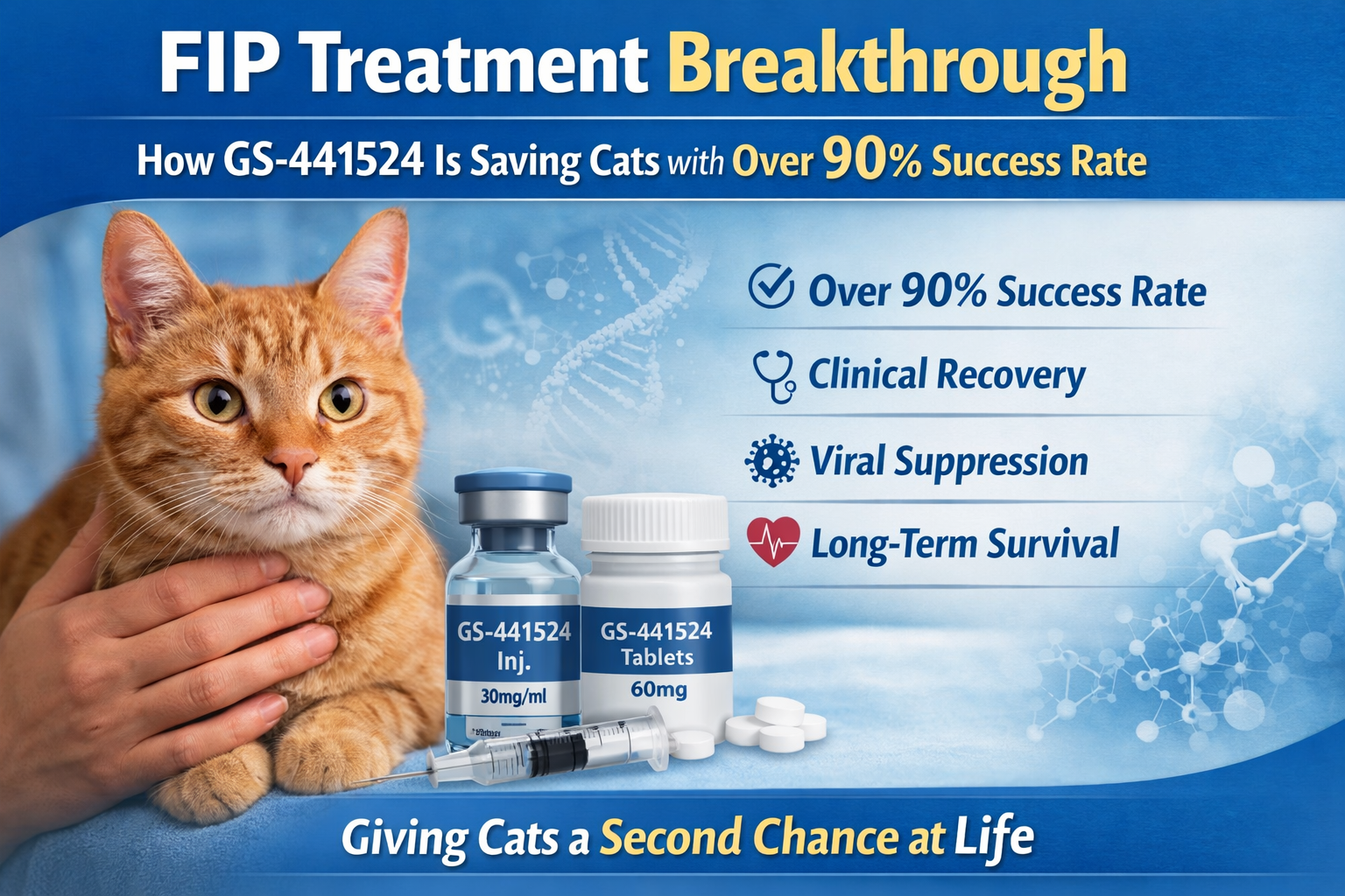 FIP Treatment Breakthrough: How GS-441524 Is Giving Cats a New Chance ...